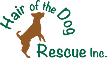 Hair of the Dog Rescue